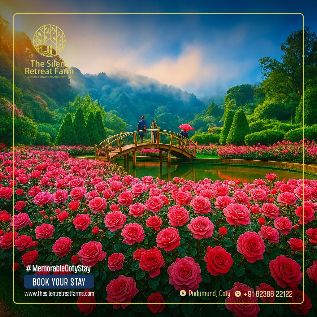 Pine Forest Ooty, Tourist Places in Ooty, Ooty Tourism, Tamilnadu Tourism