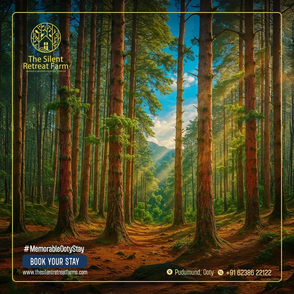 Kotagiri, Tourist Places in Ooty, Ooty Tourism, Tamilnadu Tourism